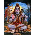 Shiva Posters