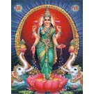 Lakshmi Posters