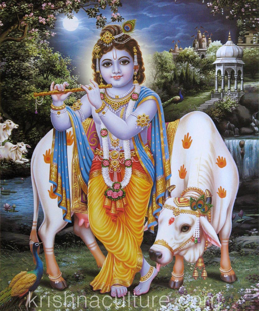 Krishna with Cow at Night Canvas Art 15 X 18
