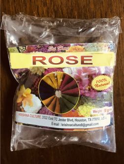 Rose Dhoop