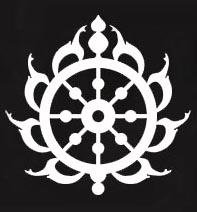 Chakra White